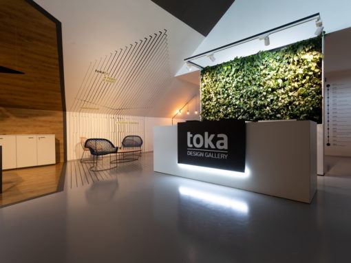 Recepce Toka Design Gallery se zelenou stěnou a 3D logem